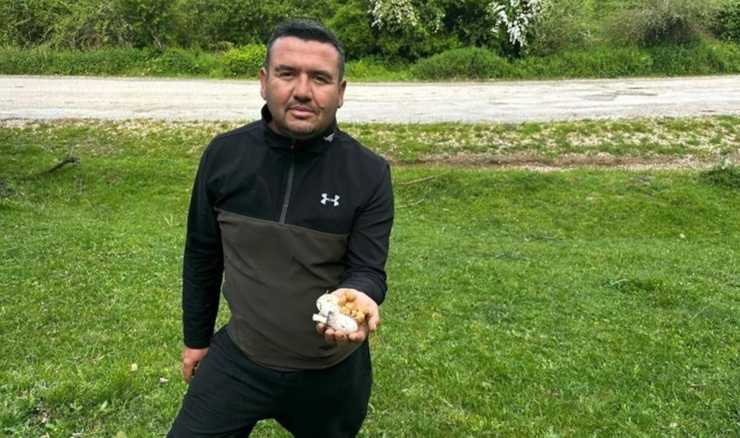 Yüzlerce kişi Bilecik ormanlarına akın etti: Her yerden fışkırıyor, 50 yılın en ağır hasadı