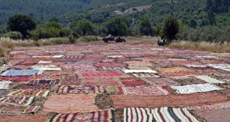 ABD’lilerin gözü bu tarlada: Büyük talep görüyor