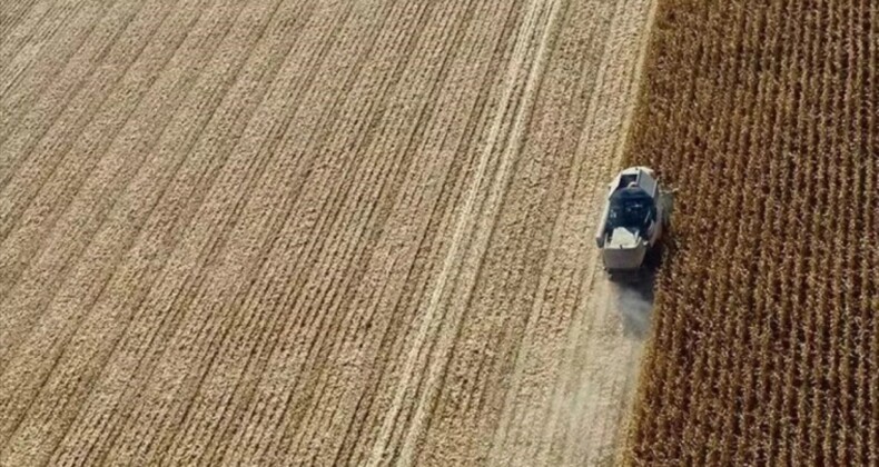 Alman koalisyon hükümeti, çiftçiler için yardım paketi üzerinde anlaştı