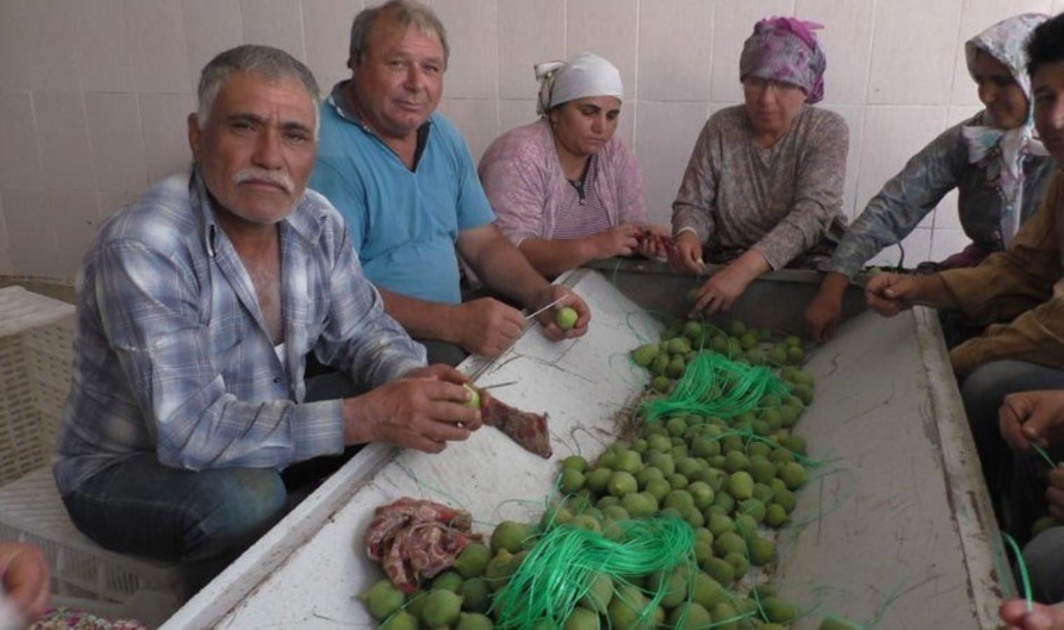 Aydın’dan 120 ülkeye ihraç ediliyor: 300 milyon dolar gelir kazandırıyor