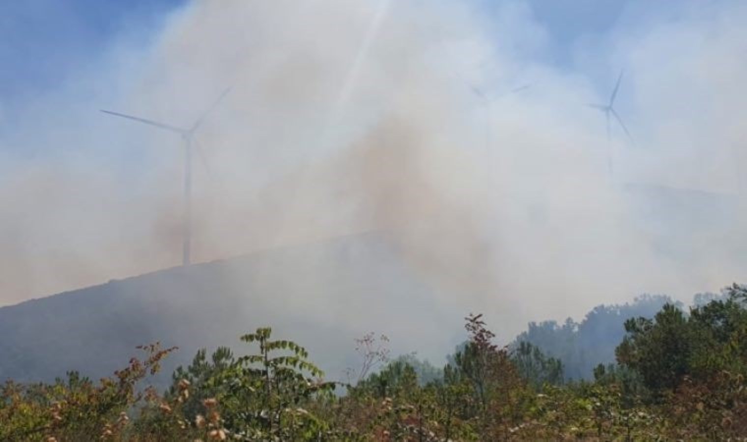 Balıkesir’de orman yangını