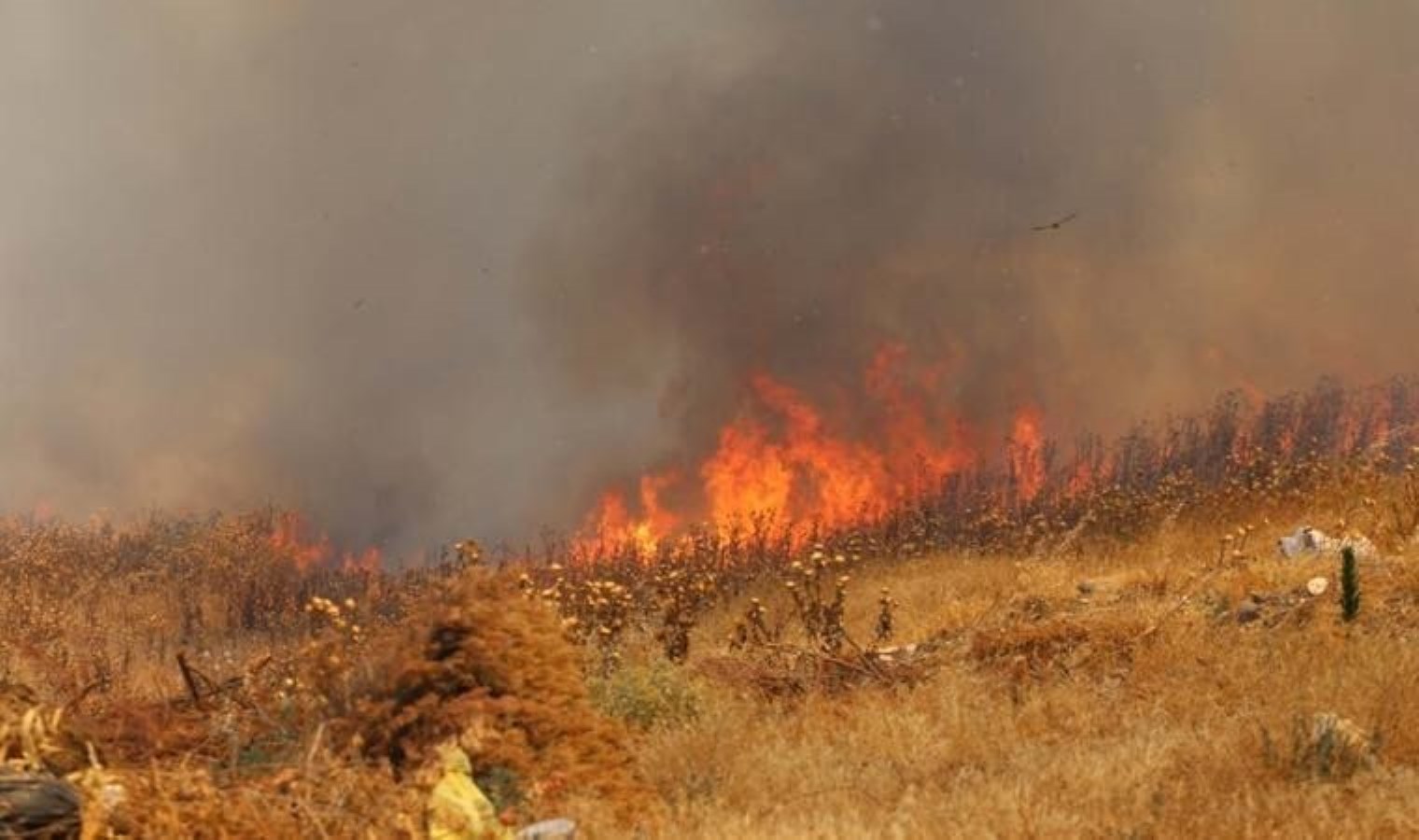 Balıkesir’de sazlık yangını; 10 hektar alan zarar gördü