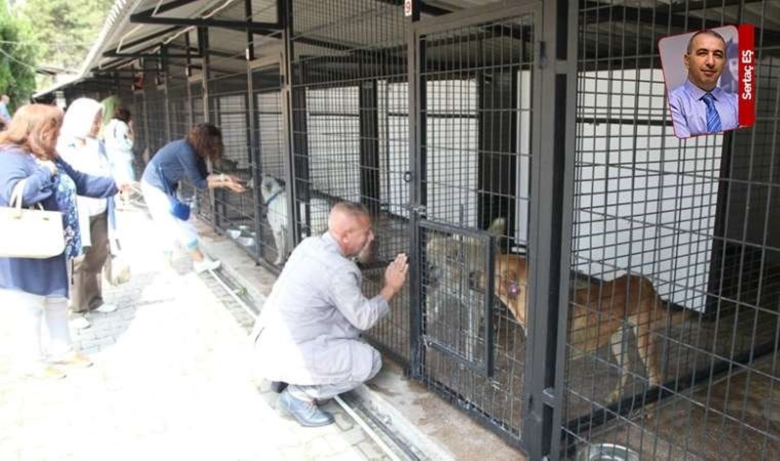 Başkan Kurt, ‘Bir hayvanı kısırlaştırma bedeli 2 bin TL’ dedi