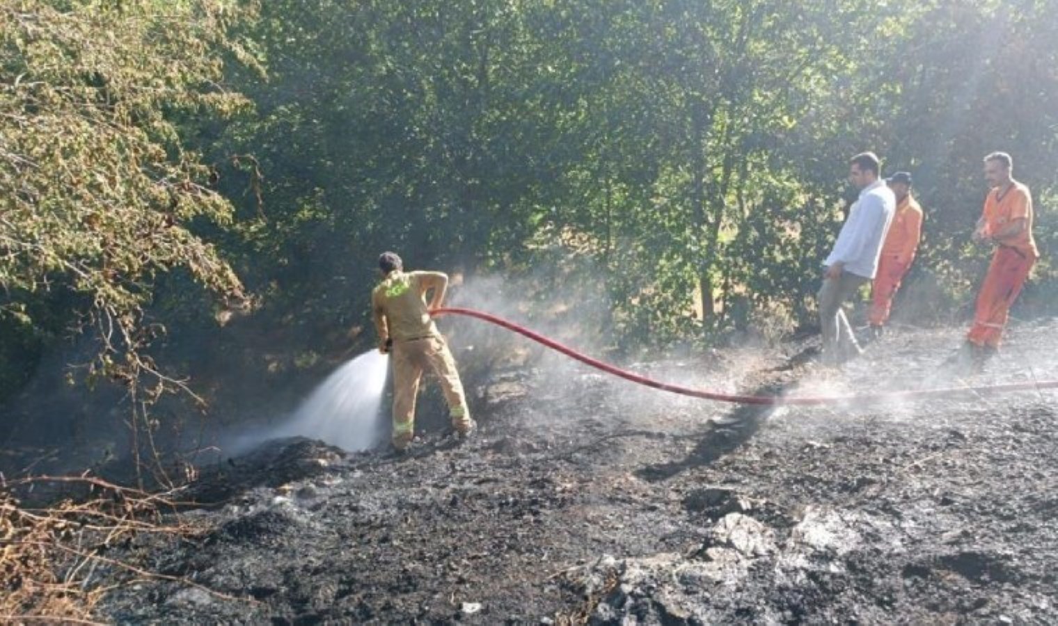 Bingöl’de ormanlık alanda yangın!