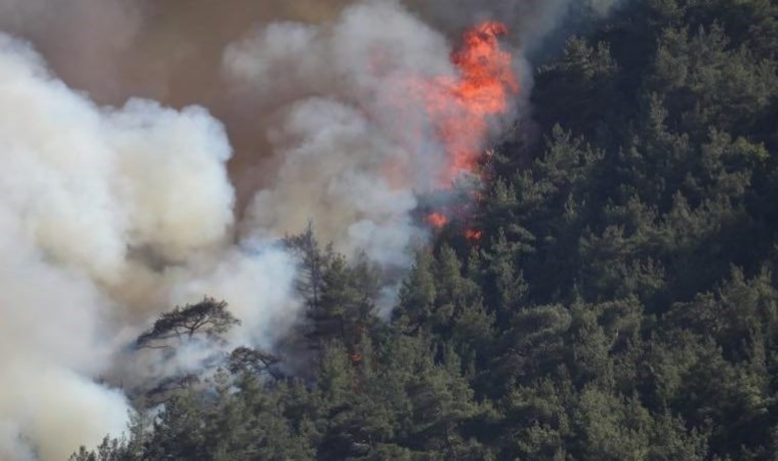 Bozdoğan’daki orman yangını kontrol altına alındı