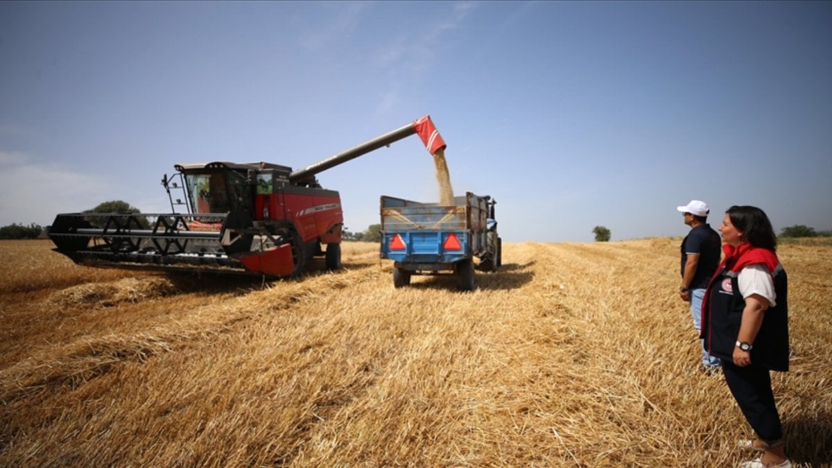 Çanakkale’de hasat saatlerine kısıtlama