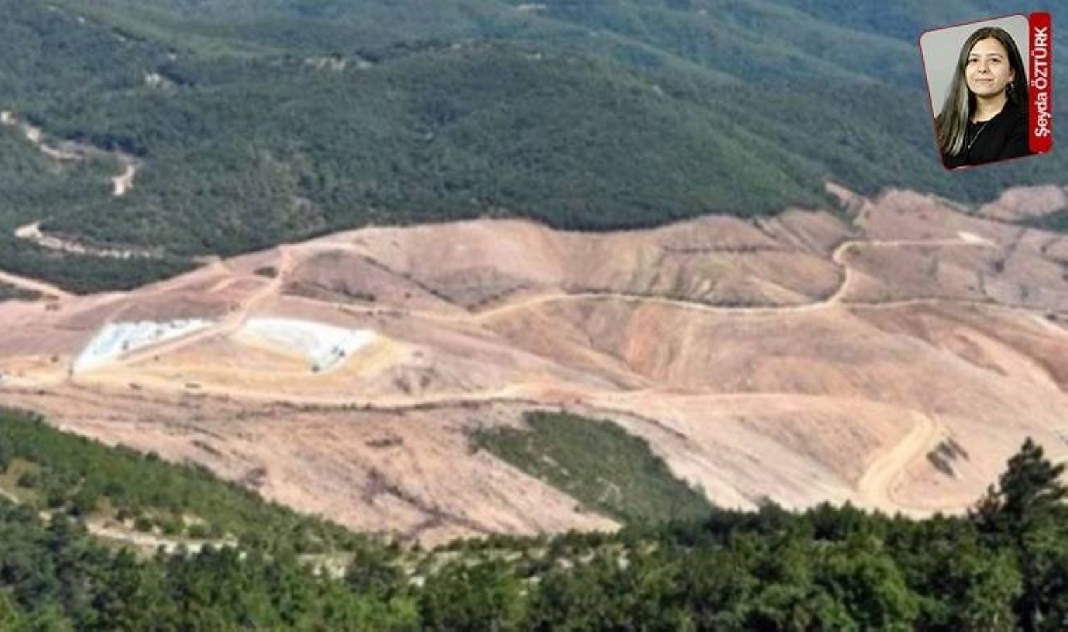 Cumhurbaşkanı Erdoğan’ın kararıyla dört ildeki bazı alanlar orman statüsünden çıkarıldı