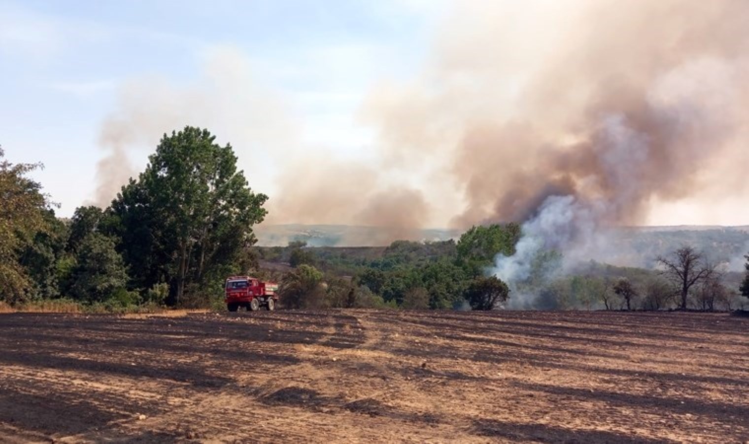 Edirne’de 215 dekar tarım arazisi ve orman zarar gördü