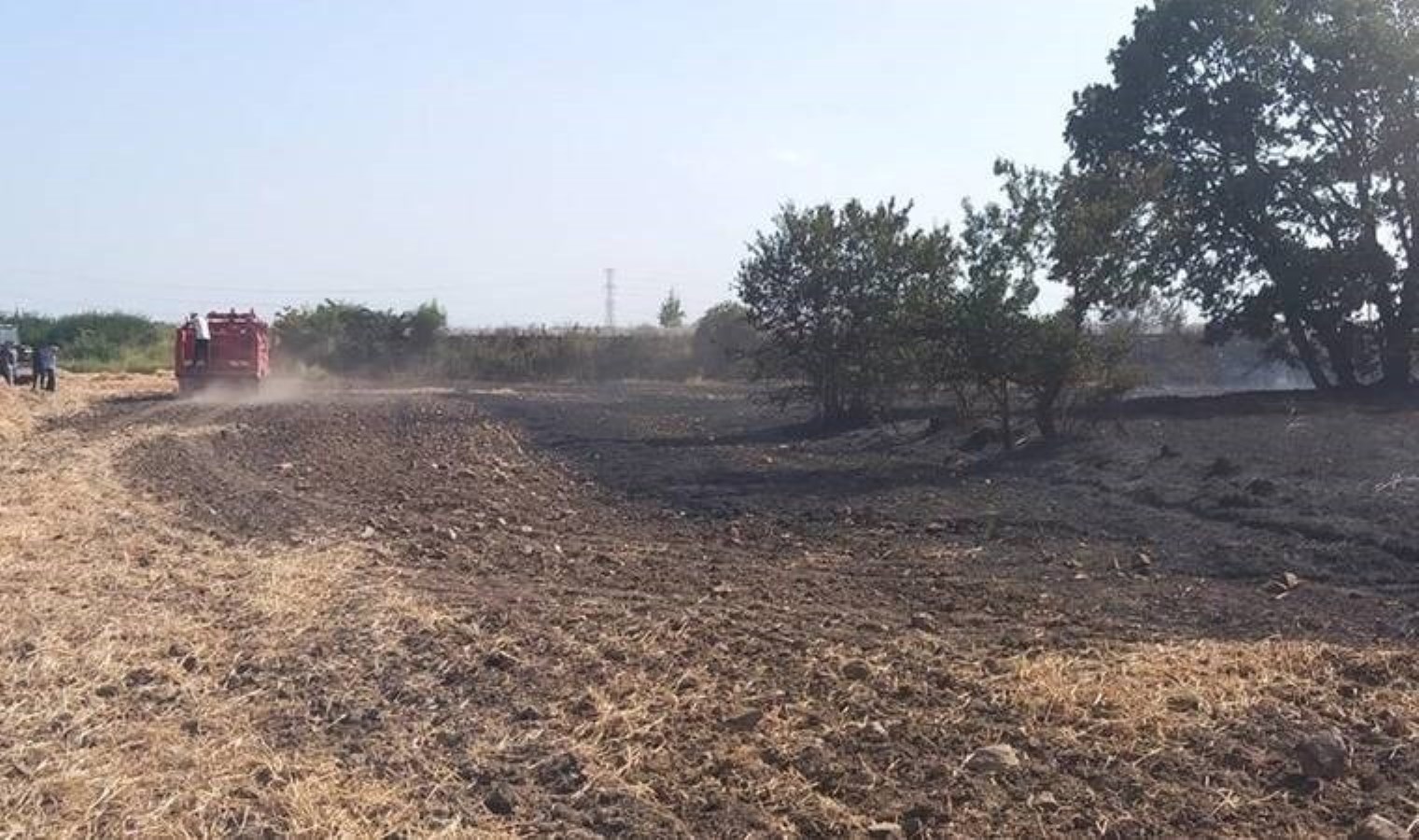 Edirne’de anız yangını ormana sıçradı