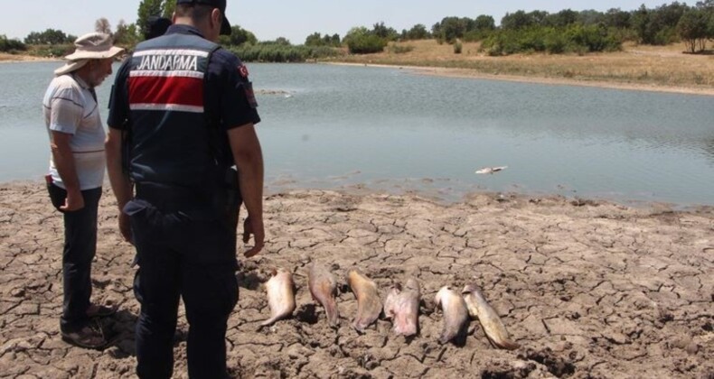 Edirne’de gölette toplu balık ölümleri