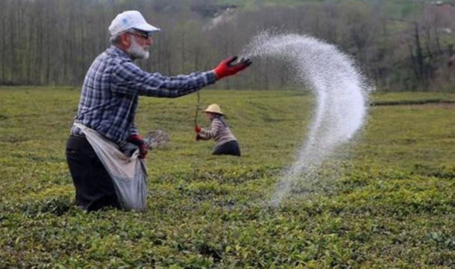 ‘Gübreye yeniden KDV getirilecek’ iddiası: CHP’den sert tepki!