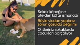 Hande Yener yanına gelen köpeğe önce köfte ısmarladı ardından denize soktu