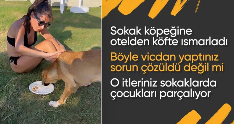 Hande Yener yanına gelen köpeğe önce köfte ısmarladı ardından denize soktu