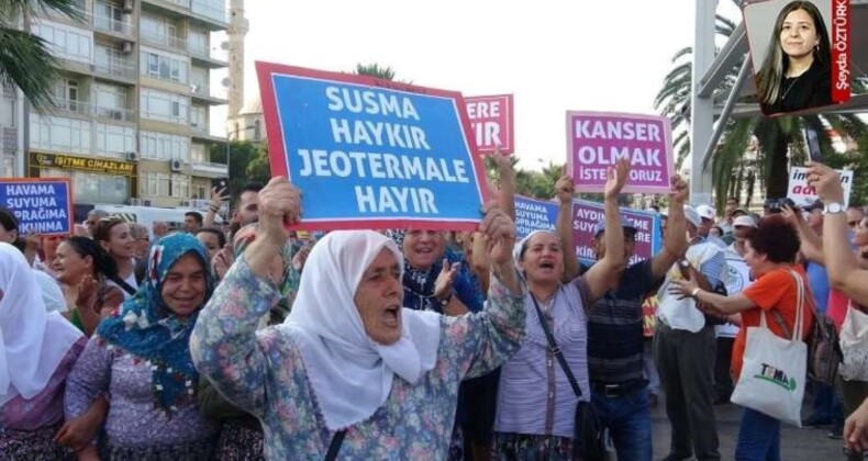 İktidar, ormanları koruyan yasaları ve sözleşmeleri tek tek yok sayıyor