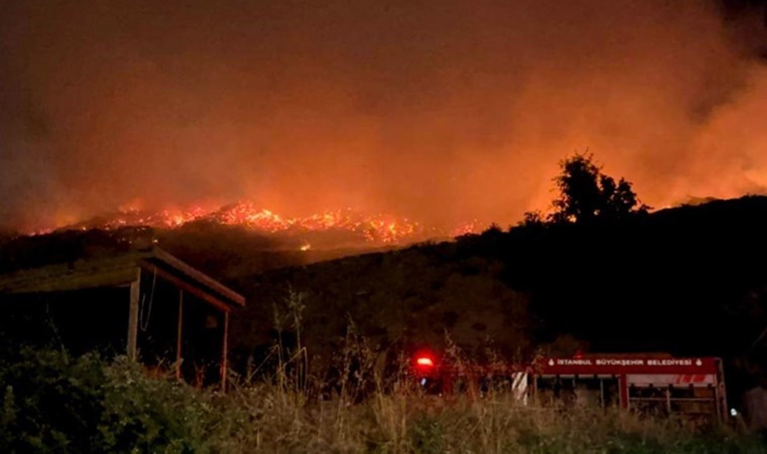 İstanbul Sarıyer’de otluk alanda yangın!