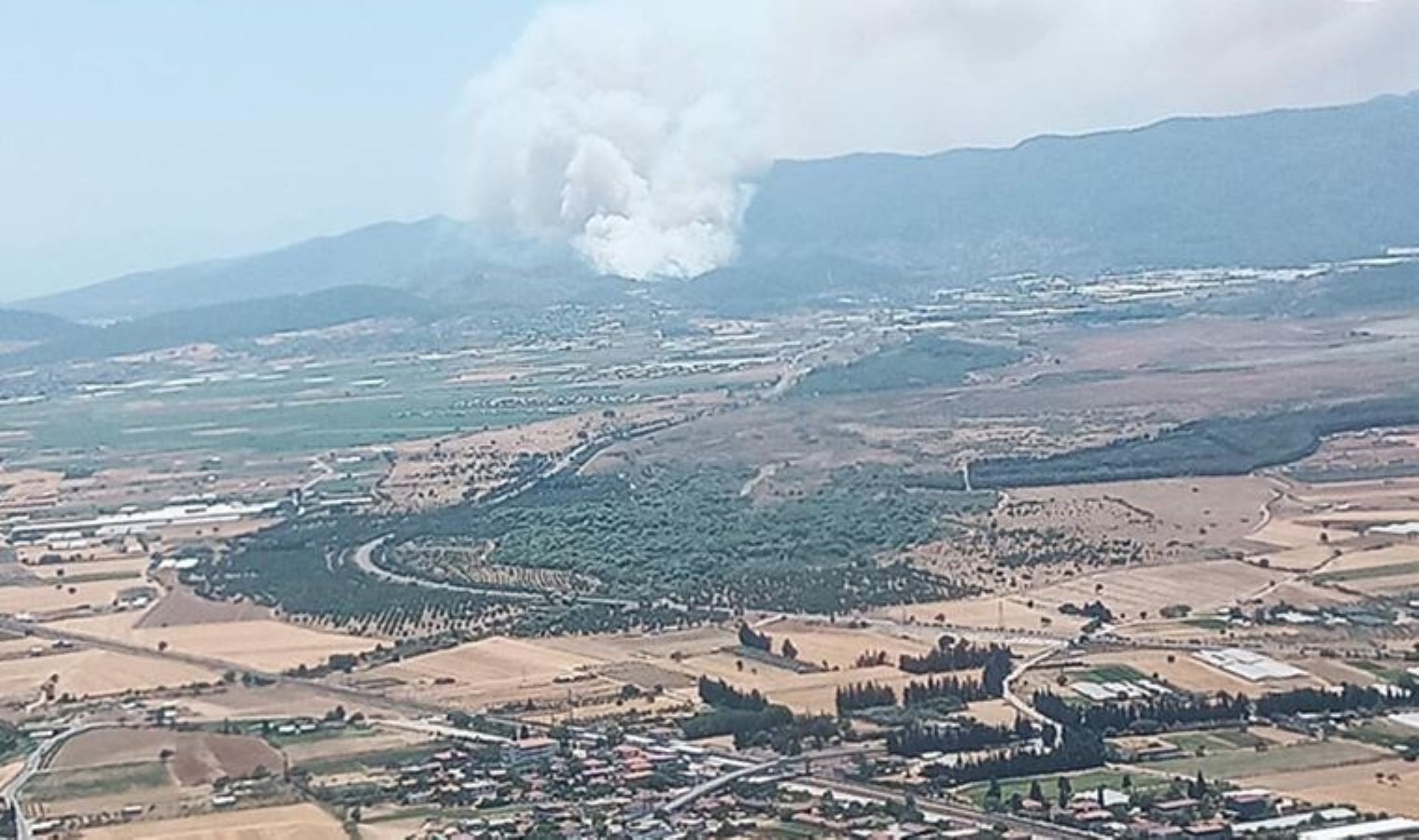 İzmir Menderes’te orman yangını