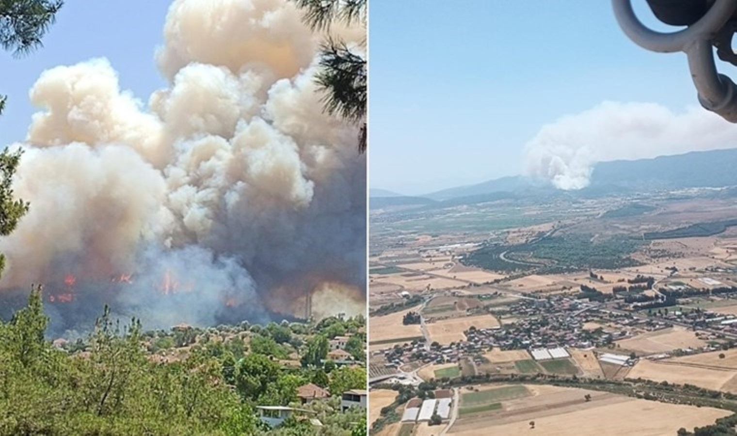 İzmir’de orman yangını: Evler tahliye edildi!