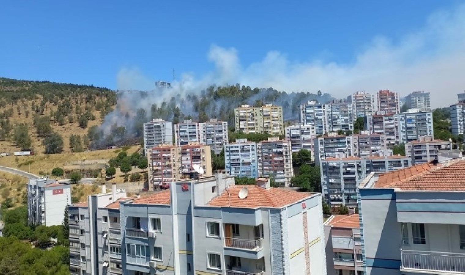 İzmir’de orman yangını: Müdahale sürüyor!