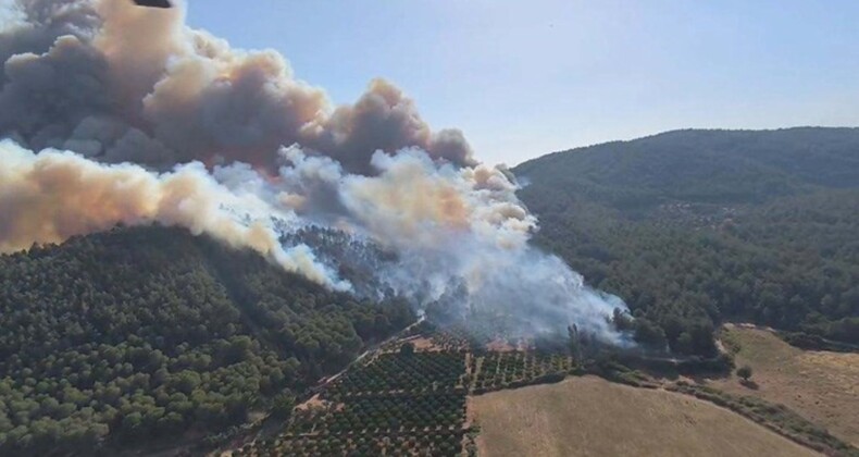 İzmir’in 4 ilçesinde yangın: Selçuk’ta çıkan orman yangını Kuşadası’na da sıçradı