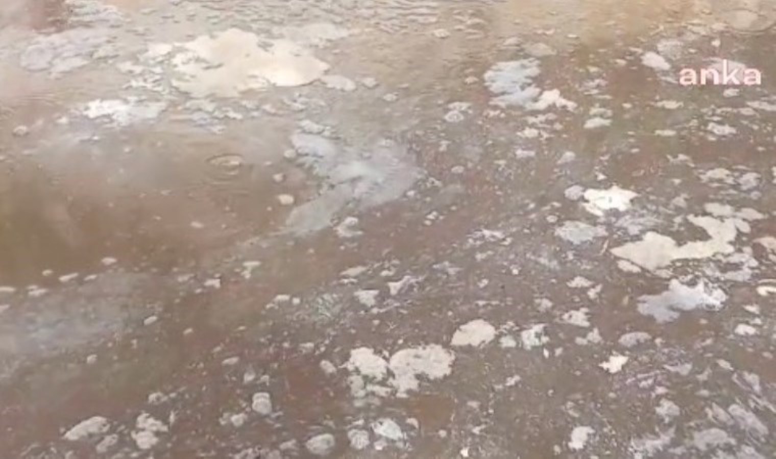 Kebanlı yurttaşlardan ‘atık’ tepkisi: “Bu katliamın bir an önce durdurulmasını istiyoruz”