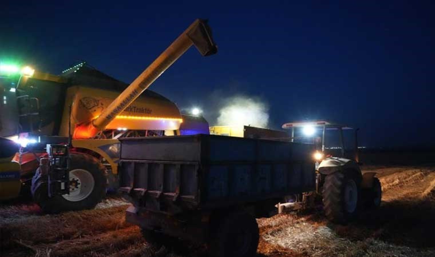 Kilis’te sabahın erken saatlerinde başlayan hasat gecenin ilerleyen saatlerine kadar devam ediyor! Kilosu 10 TL…