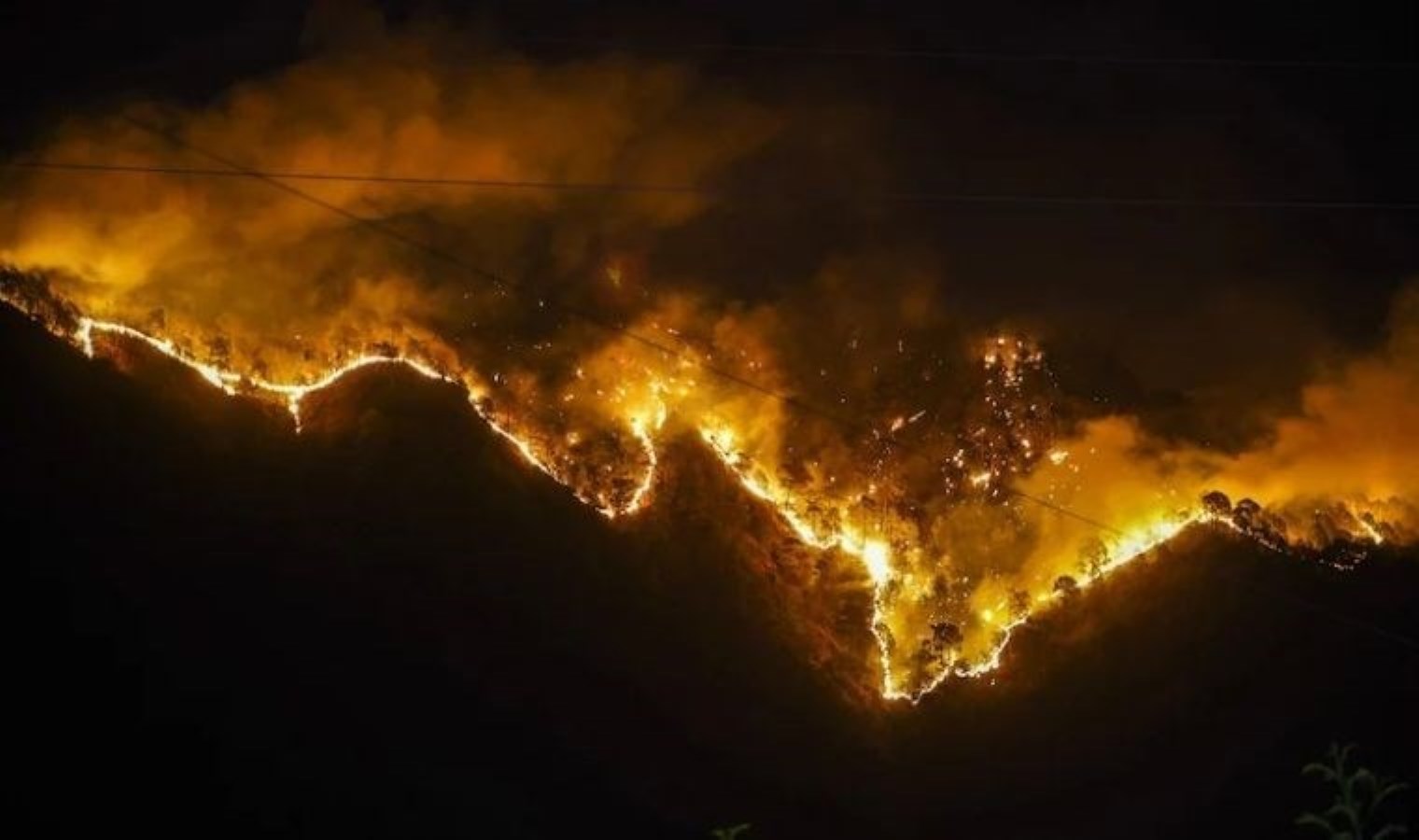 Los Angeles’ta çıkan orman yangınında 1200 kişi tahliye edildi