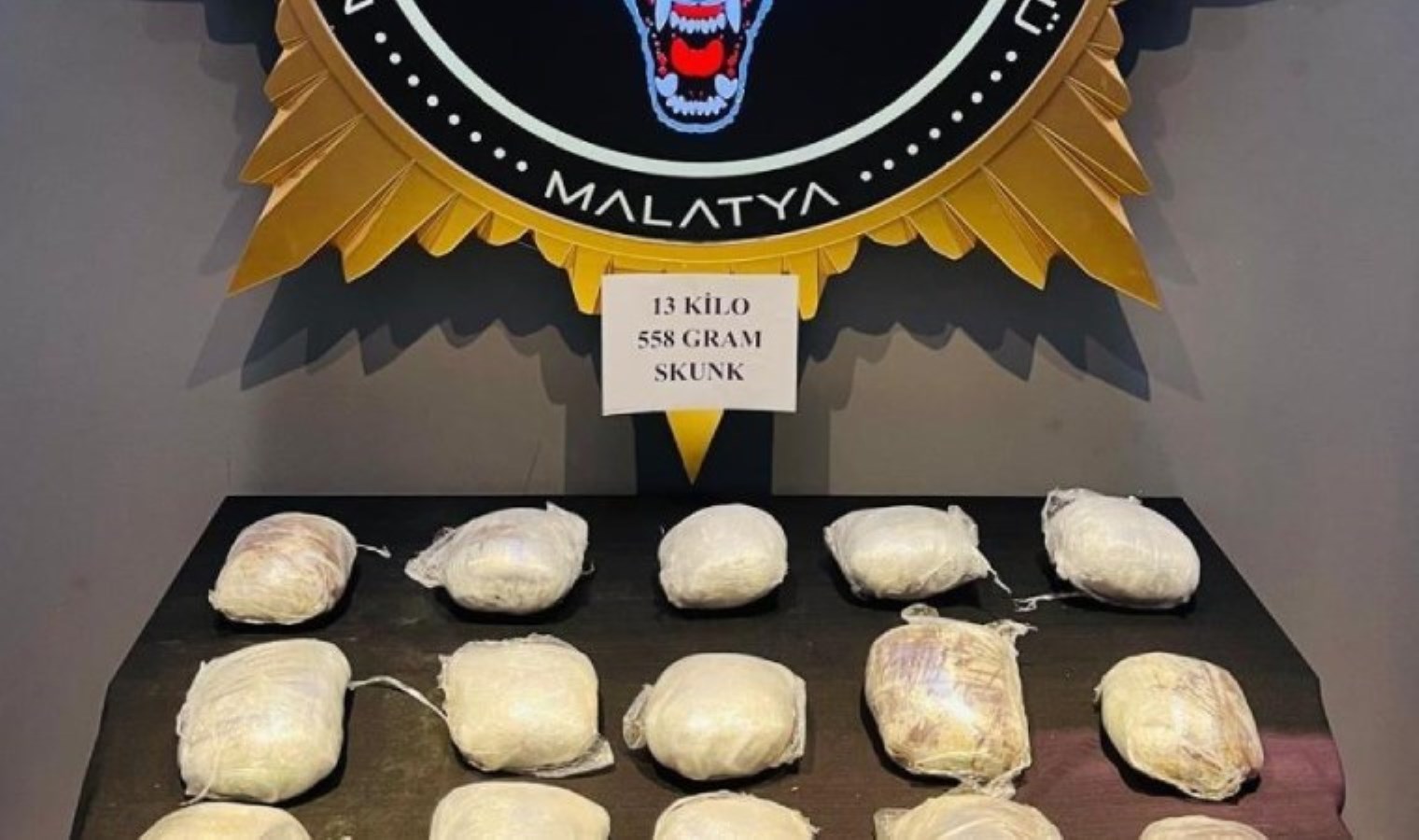 Malatya’da yolcu otobüsünde kilolarca skunk ele geçirildi