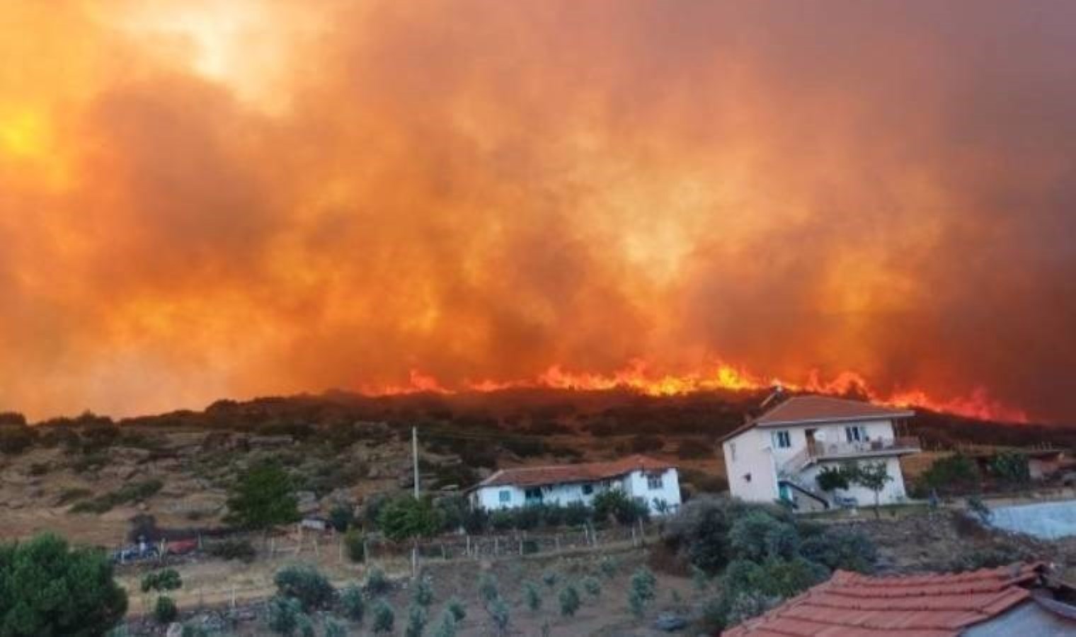 Manisa Salihli’de çıkan orman yangını kontrol altına alındı