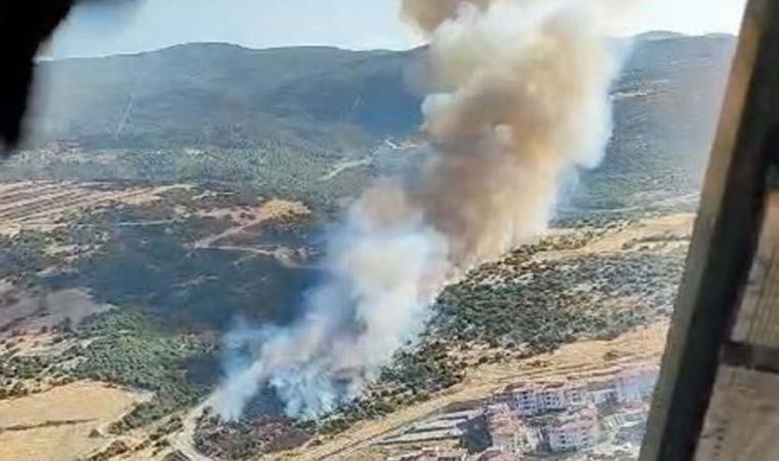 Manisa’da orman yangını