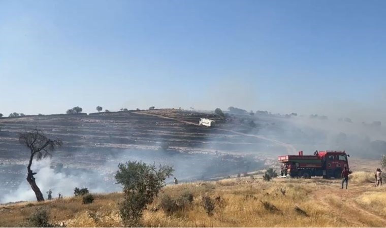 Mardin-Batman sınırında anız ve örtü yangını