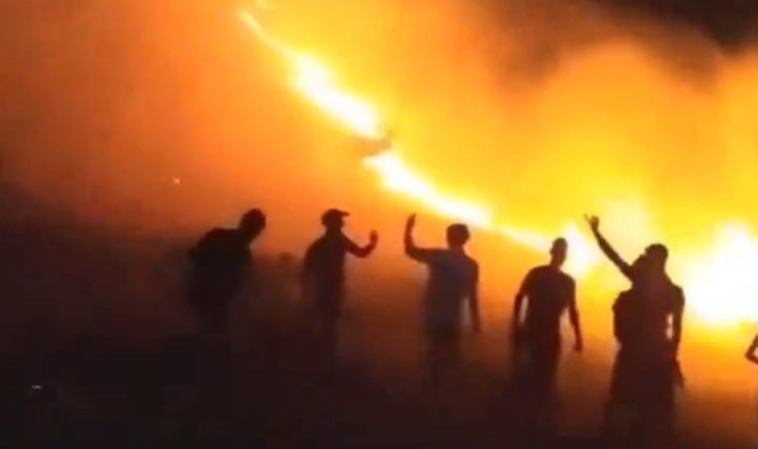 Mardin’de bir orman yangını daha