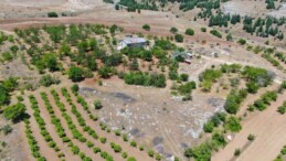 Medeniyetler beşiği 5 bin yıllık Harput’ta hasat erken başladı