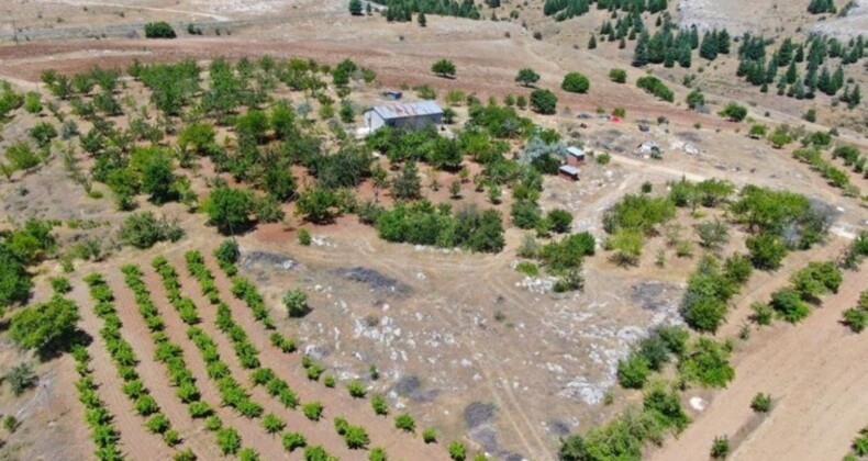 Medeniyetler beşiği 5 bin yıllık Harput’ta hasat erken başladı