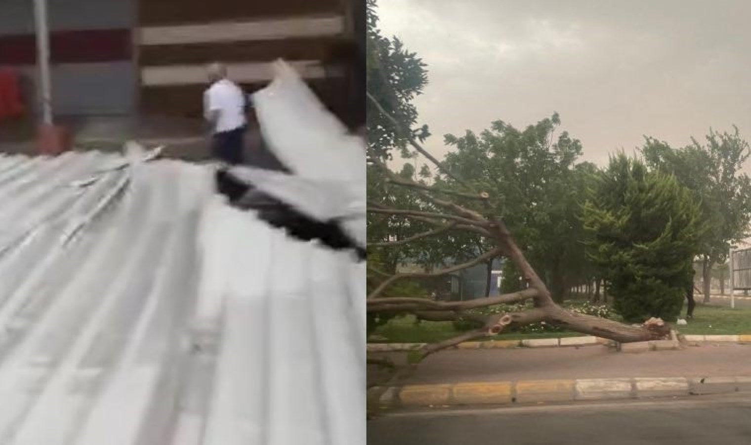 Şanlıurfa’da fırtına ve şiddetli yağış; çatılar uçtu, ağaçlar kırıldı