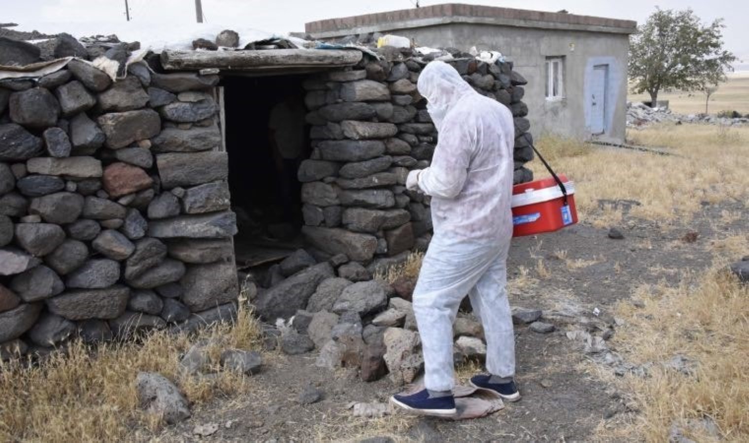 Şanlıurfa’da mahalleye kuduz karantinası