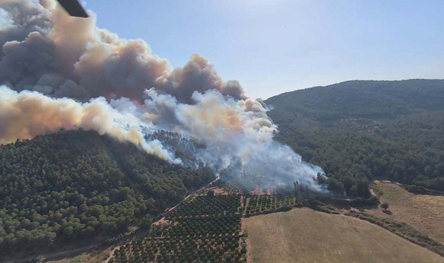 Selçuk’ta çıkan orman yangını Kuşadası’na da sıçradı