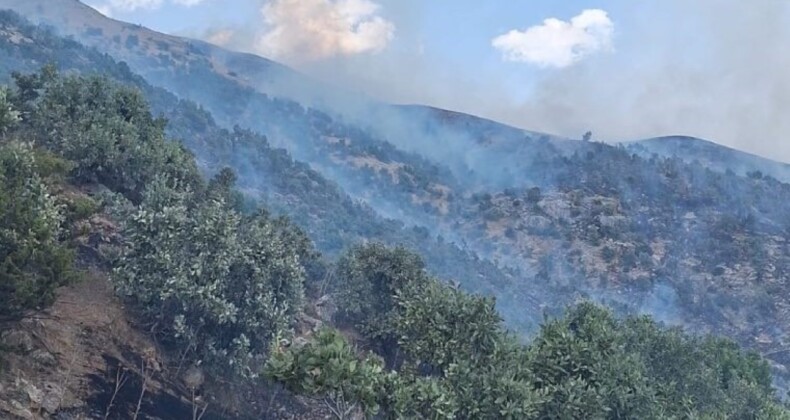 Siirt’te çıkan orman yangını, 6 saatte kontrol altına alındı