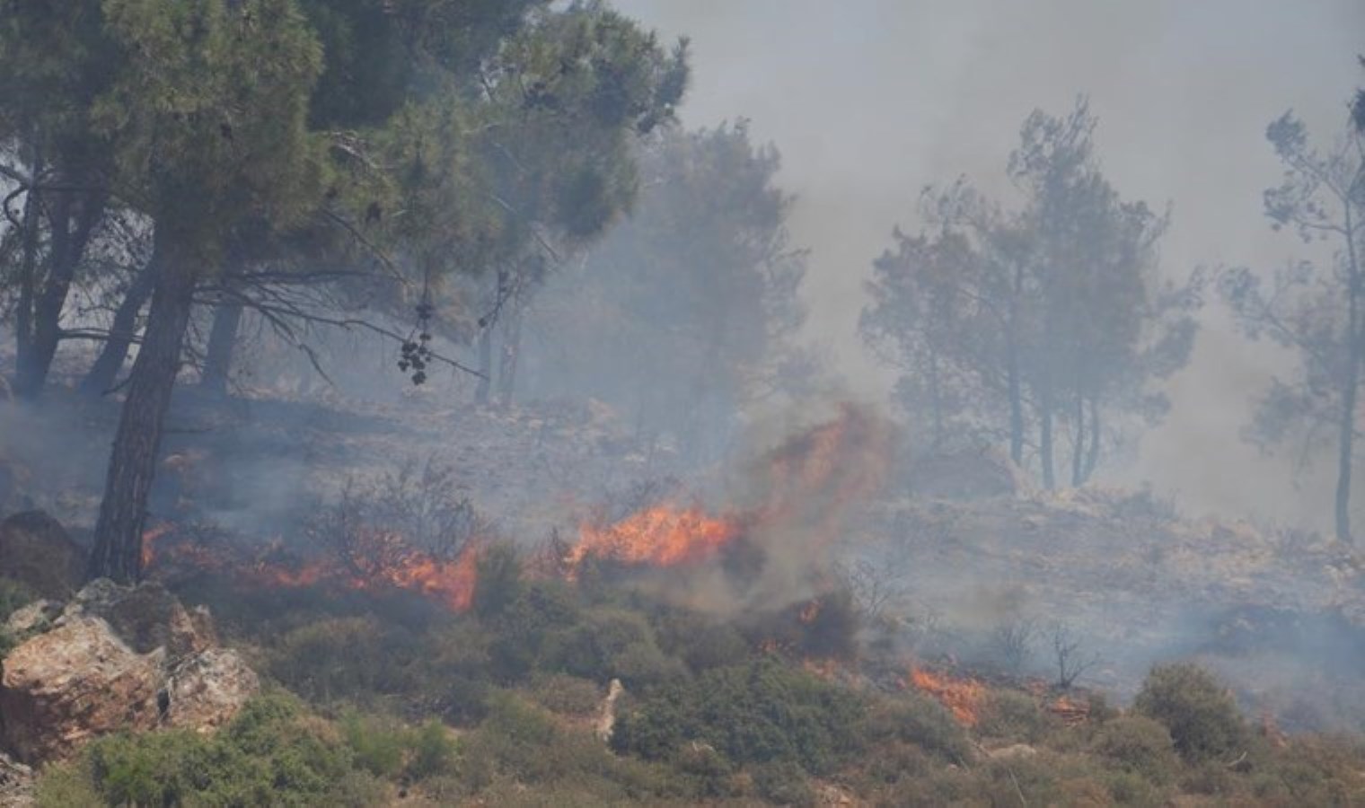 Turizm beldesinde büyük yangın… Alevler plaja doğru ilerliyor!