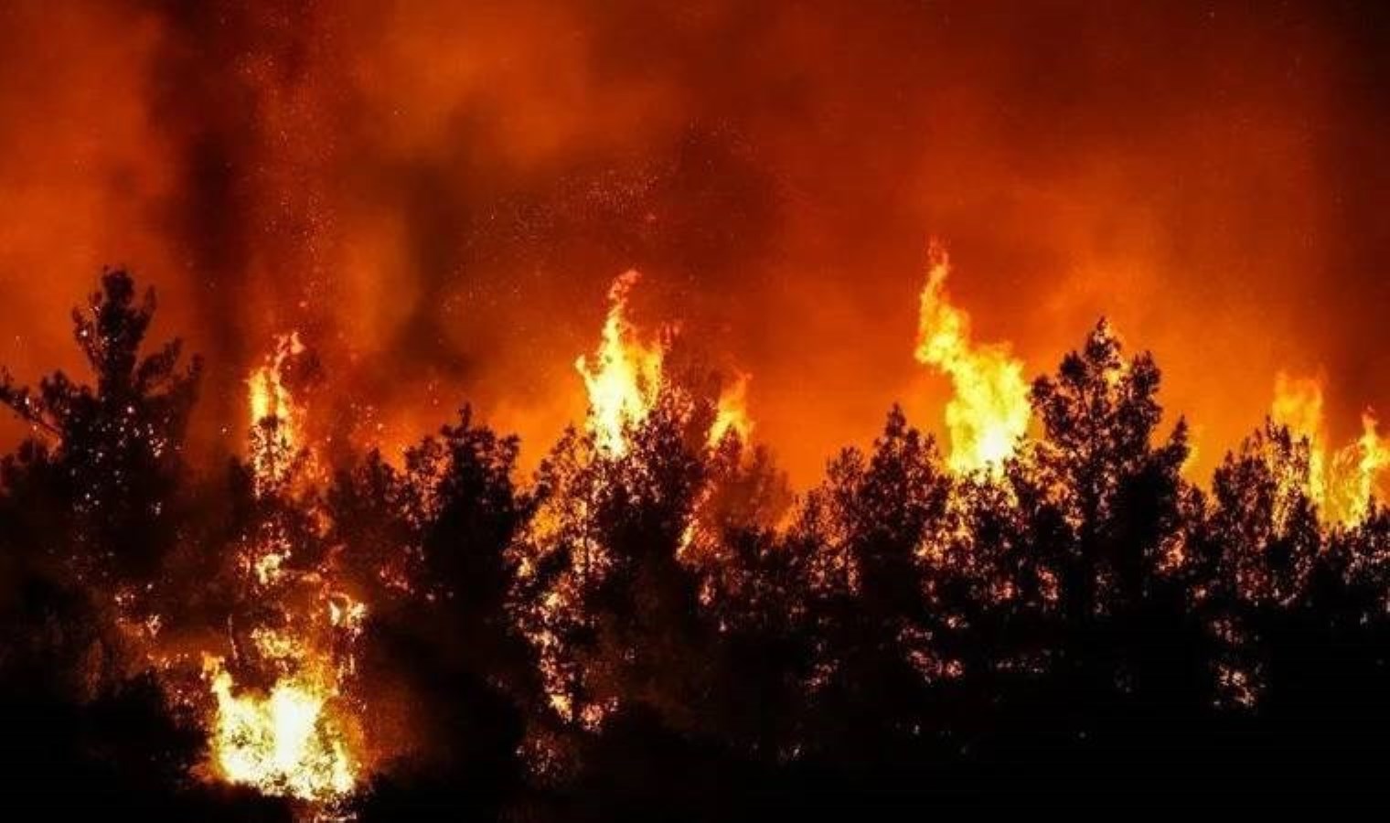 Türkiye yanıyor… 500 hektar alan küle döndü: Müdahale yeniden başladı