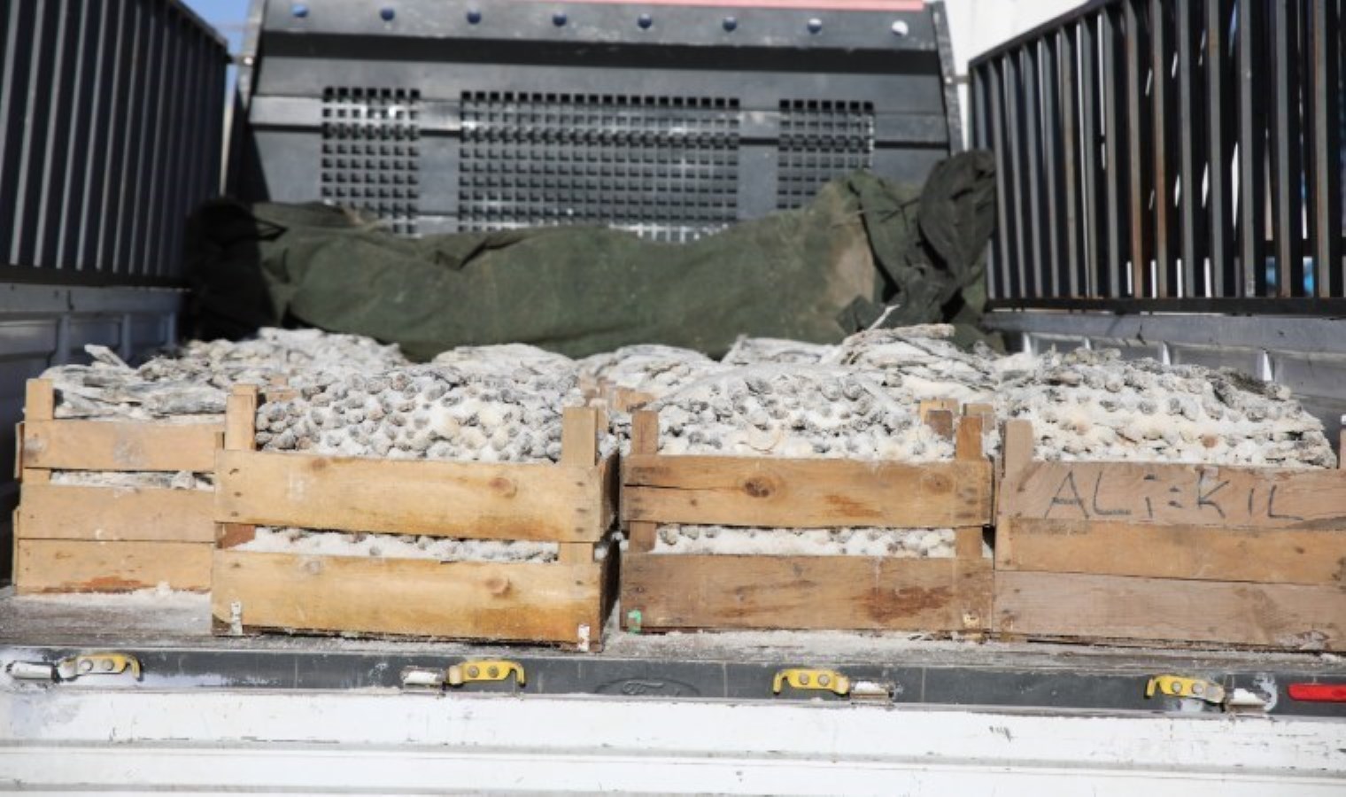 Van’da tuzlanarak kurutulmuş 5 ton inci kefali ele geçirildi