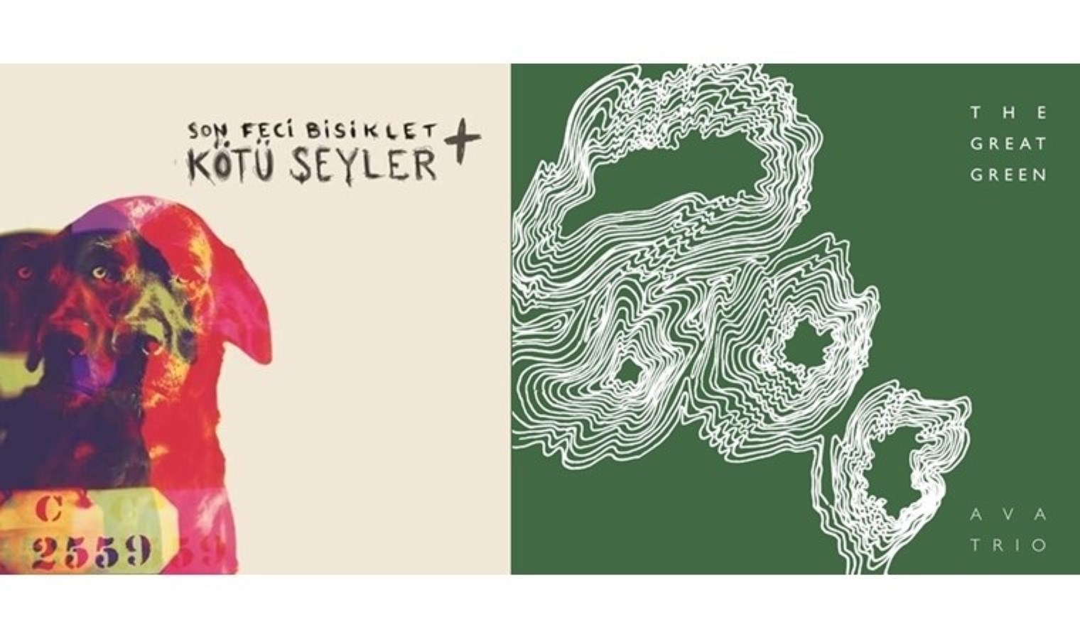 Vitrindeki Albümler