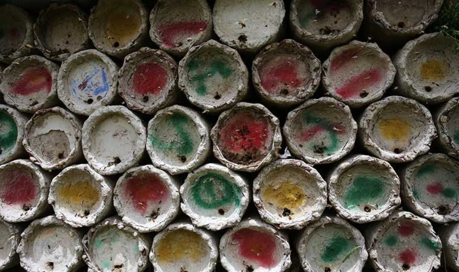 Zengin floralı, yüksek rakımlı bölgede yetişiyor: Sayısı yüzde 50 attı…