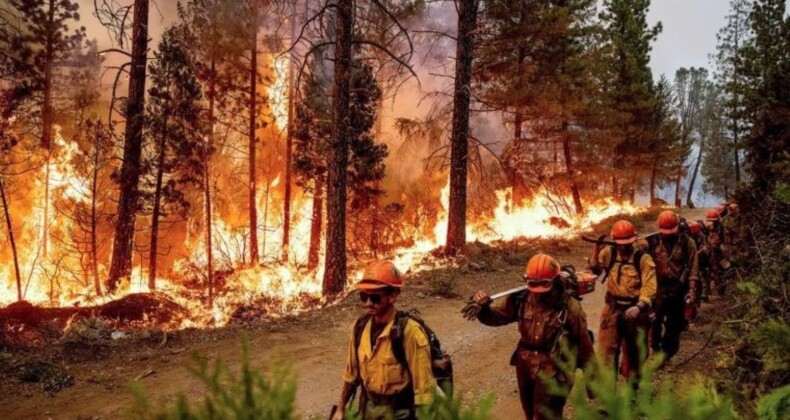 4 bin kişi evlerinden tahliye edildi: California’nın en büyük orman yangını yayılmaya devam ediyor