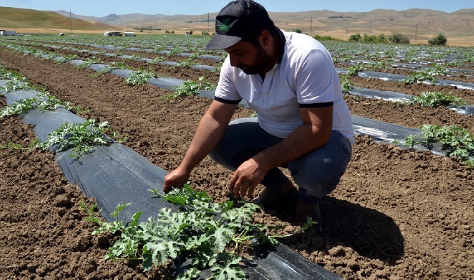 45 yıldır üretiyor: Şehre yaklaşık 2 milyar lira katkı sağlayacak…