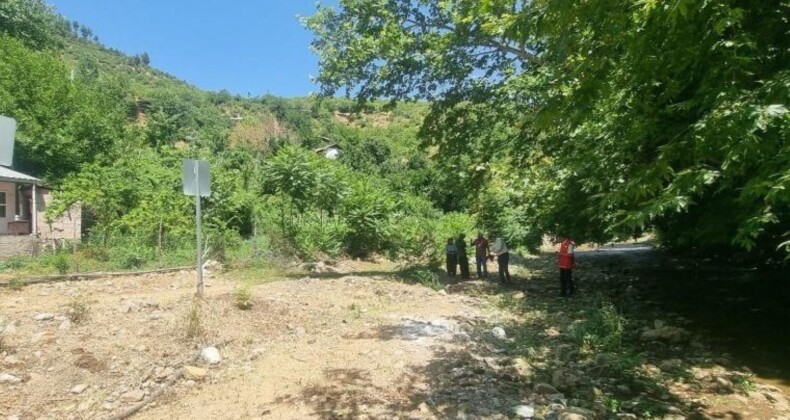 53 milyon yıl önce yaşıyordu: Dünyanın en küçük memelisi Adana’da ortaya çıktı