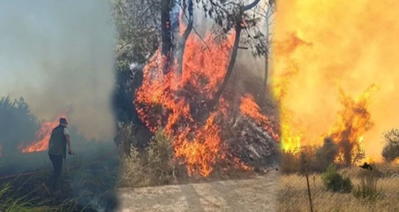 Adana, Antalya ve Kahramanmaraş orman yangınında son durum!