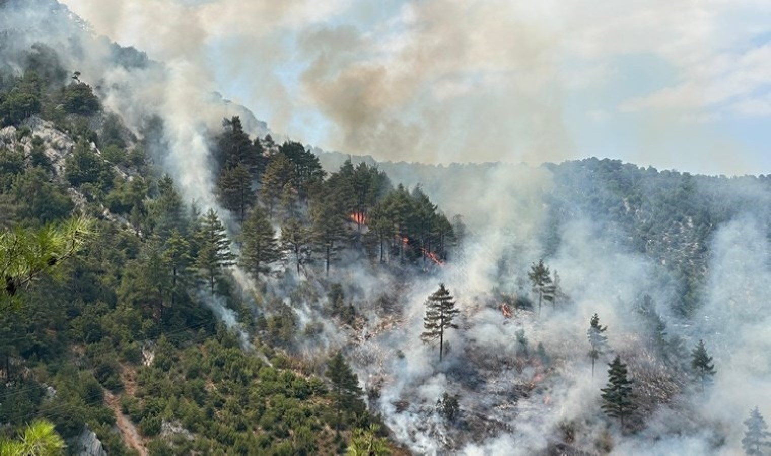 Adana’da orman yangını!