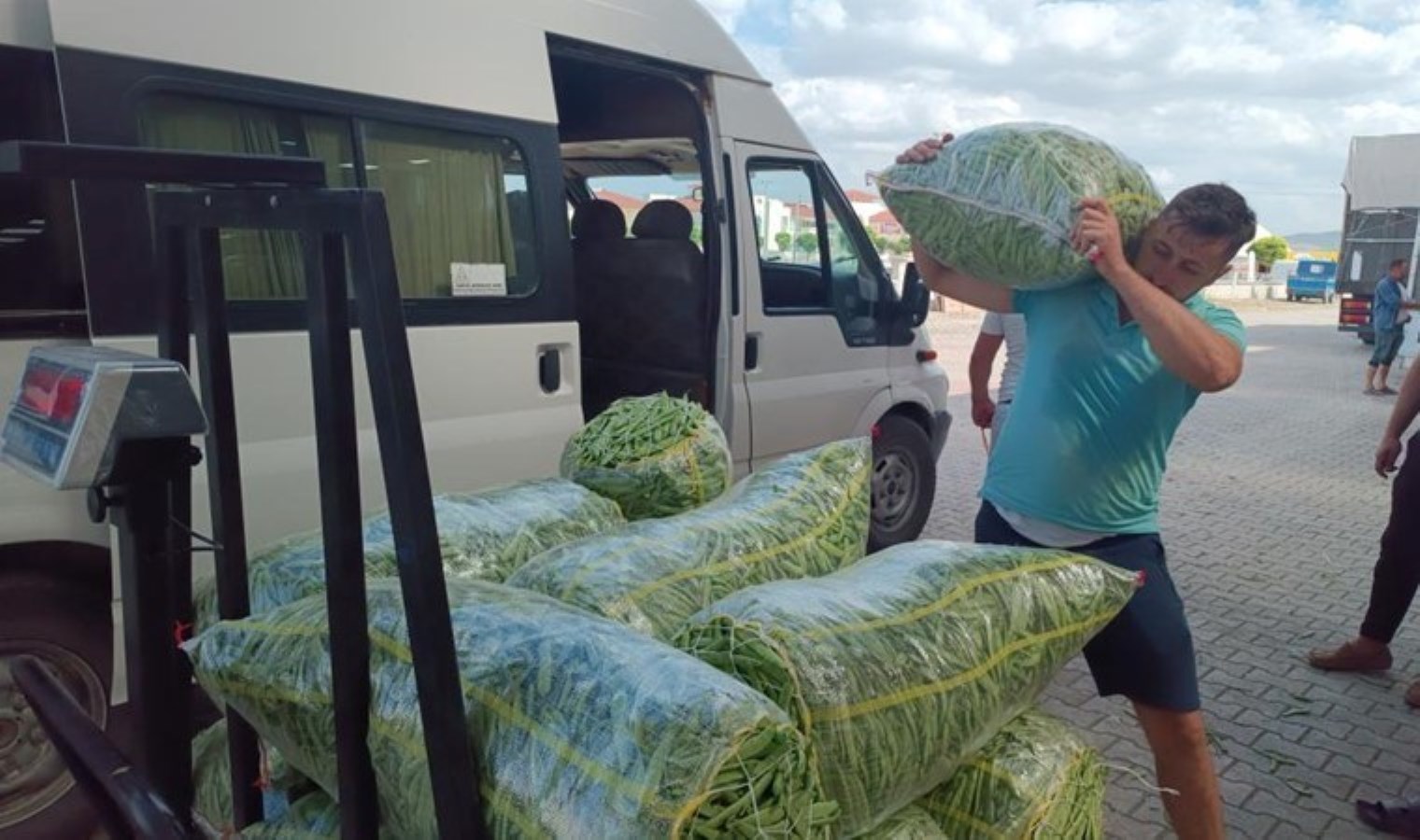 Afyonkarahisar’da üretici altın çağını yaşıyor: Kalite ve fiyatıyla öne çıkıyor…