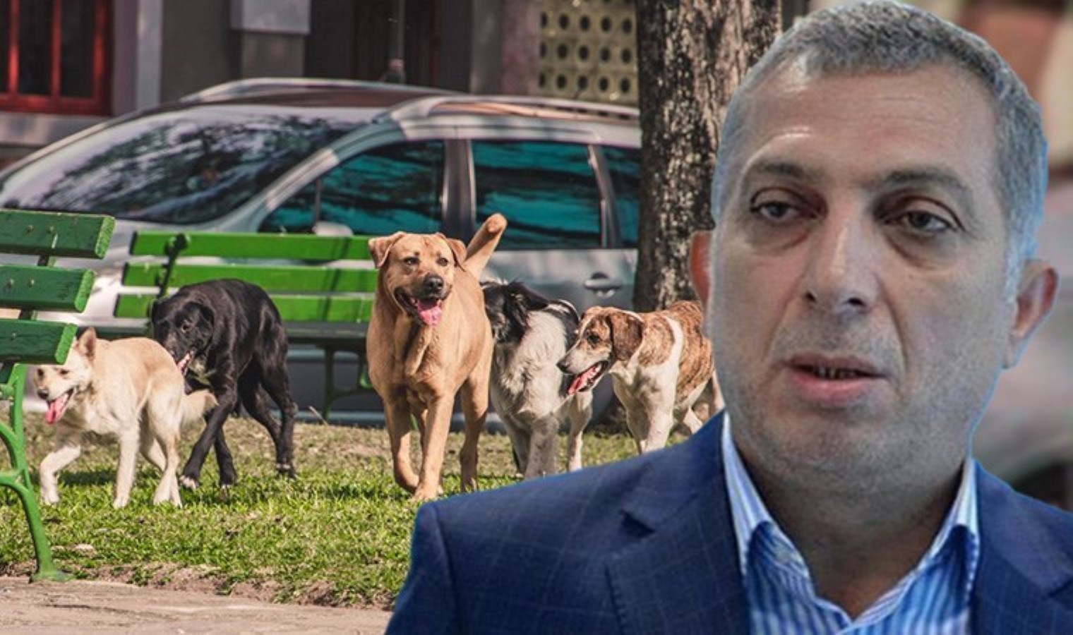 AKP’de ‘ötenazi’ rahatsızlığı: ‘Öldürmek öyle cümlelerle meşrulaştırılıyor ki…’