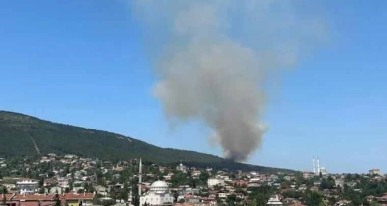 Aydos Ormanı nerede? Aydos Ormanı İstanbul’un hangi ilçesinde?